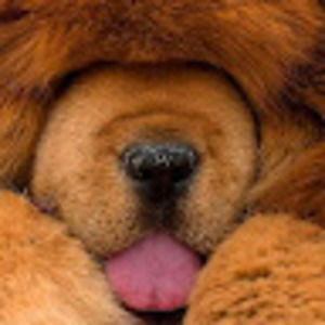 Meet your Posher, Bethy